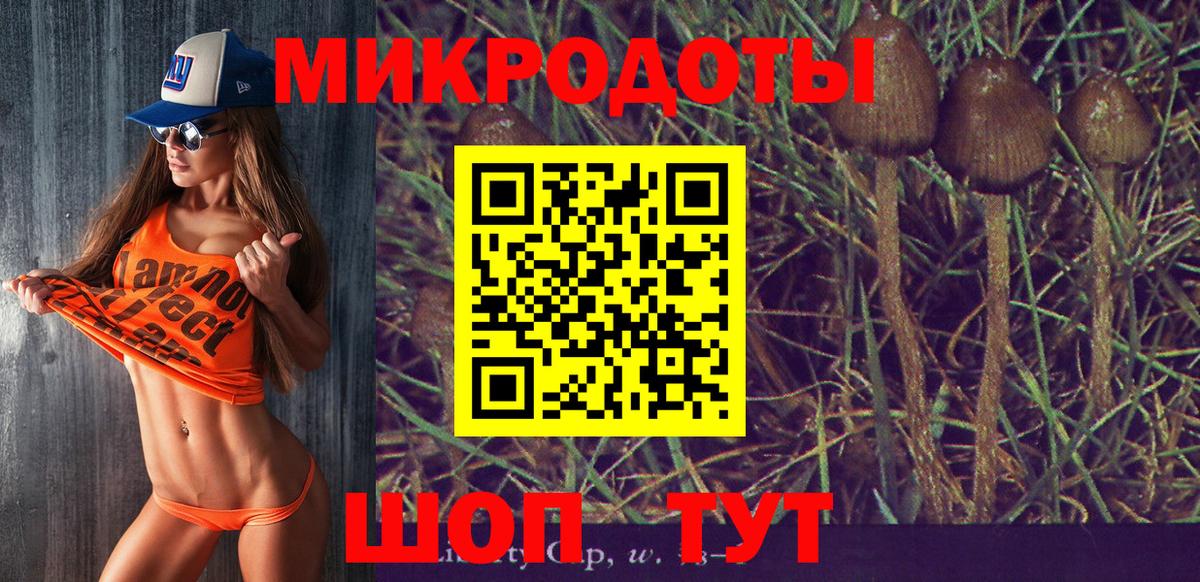 Вичуга  Псилоцибиновые грибы Psilocybe  Вход с VPN 